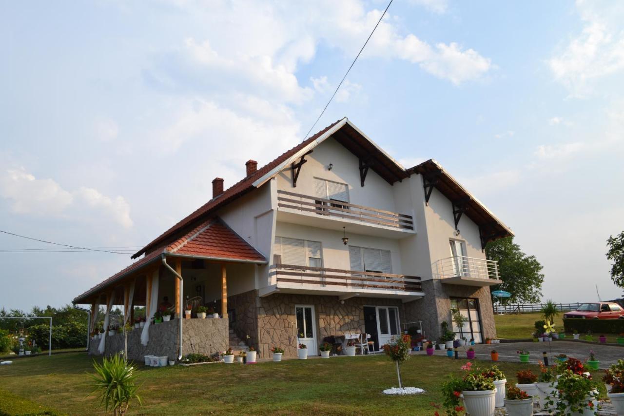 Apartamento Odmor Na Selu Babajic Ljig Exterior foto