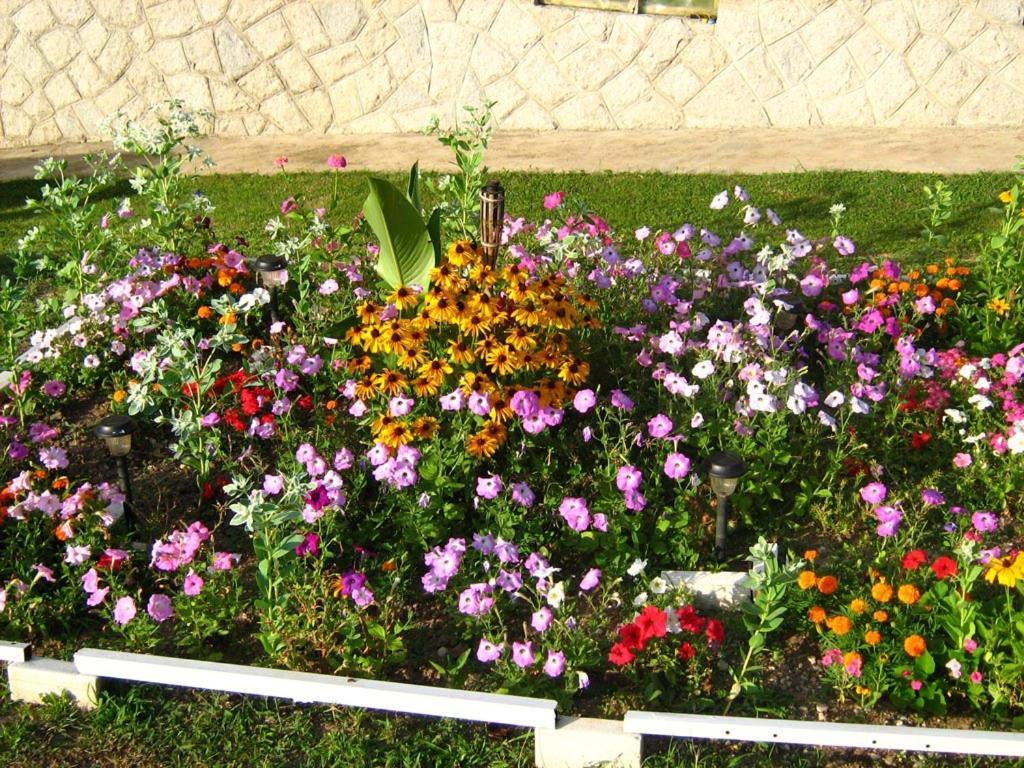 Apartamento Odmor Na Selu Babajic Ljig Exterior foto